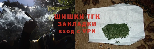 индика Белоозёрский
