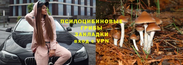амф Беломорск