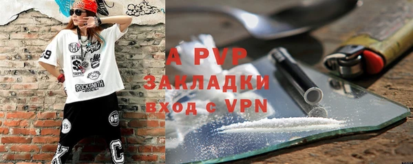 индика Белоозёрский