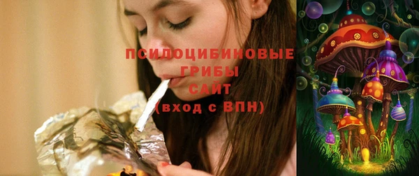 mix Белокуриха